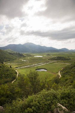 Hırvatistan'da Neretva nehir deltasında yeşil alanlar, tarım alanı üzerinde görünüm