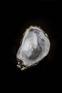 Siyah arka planda boş istiridye