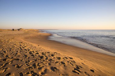 altın kum ve sessiz deniz ile gün batımında bir plajda görünümü