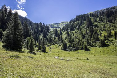 Bukolik yeşil yaz alp manzara, İsviçre Alpleri dağ masifi, kton du Valais, İsviçre