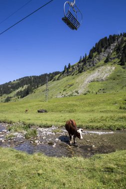 Bukolik yeşil yaz alp çayırı bir nehir dere sini geçen İsviçre, İsviçre Alpleri dağ masifi, kton du Valais, İsviçre