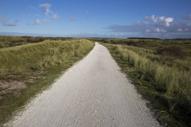Plaj çimleri ile kaplı kumul ile bisiklet yolu, Ameland, Hollanda