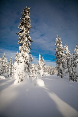 Kış İskandinav Manzarası, Finlandiya