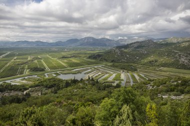 Hırvatistan'da Neretva nehir deltasında yeşil alanlar, tarım alanı üzerinde görünüm