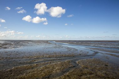 Deniz manzarası bulutların alçak gelgit sularındaki yansıması, Waddenzee, Friesland, Hollanda