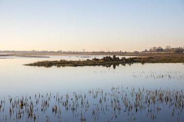 deniz şubat 2010'da fırtına Xynthia sonra dike üzerinden gitti sonra doğa rezerv Casse de la Belle Henriette de lagün alacakaranlık