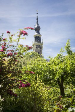 belediye binasıgotik kule, Veere , Hollanda