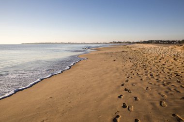 altın kum ile gün batımında bir plajda görünümü sessiz bir deniz