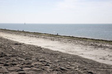 Sahil manzaralı, Breskens, Hollanda