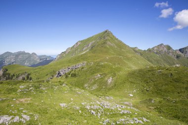 Bukolik yeşil yaz alp manzara, İsviçre Alpleri dağ masifi, kton du Valais, İsviçre