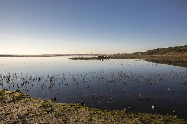 Schemering Lagune Bij Natuurreservaat Casse Belle Henriette Zee Ging Dijk — Stockfoto