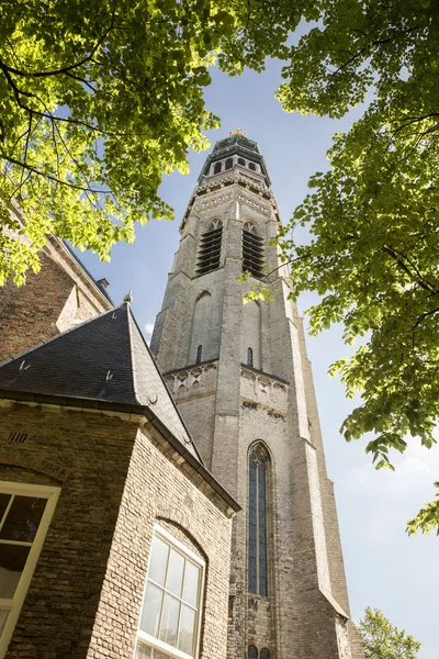 Kulesi Lange Jan Middelburg Zeeland Hollanda Ile Manastır Kompleksi — Stok fotoğraf