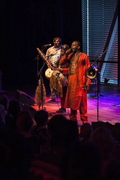 Ámsterdam Países Bajos Julio 2015 Concierto Banda Africana Bko Quintet — Foto de Stock