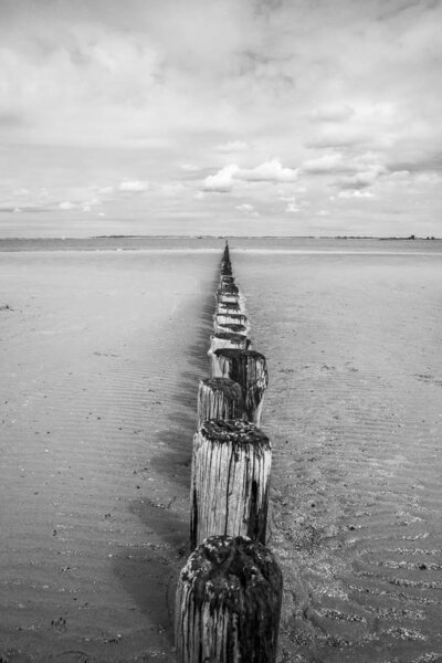 Вид на море, Брескенс, Нидерланды
