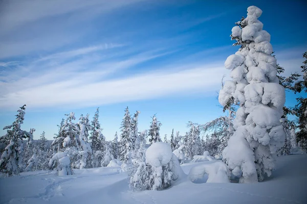 핀란드의 눈덮인 케이프 — 스톡 사진