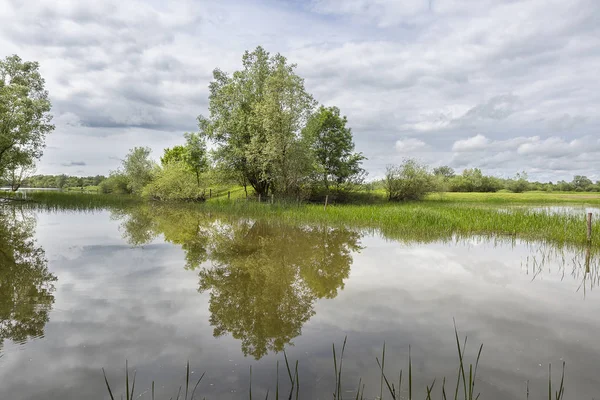 Idylliska Naturlandskap Med Sjö Grön Vegetation Och Himmel Med Molnreflekterande — Stockfoto