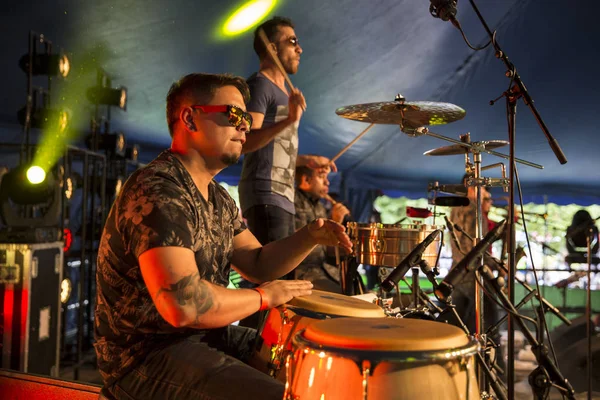Amsterdam, Hollanda - 5 Temmuz 2015: Kolombiyalı grup La-33'ün konseri sırasında - Amsterdam Roots Open Air sırasında, Park Frankendael'de 05/07/2015 tarihinde kültürel festival düzenlendi