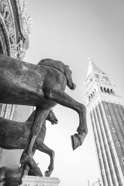 Kilátás Campanile Szobrok Lovak San Marco Basilca Előtt San Marco — Stock Fotó