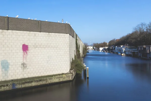 Beton Und Ziegelmauer Mit Bunten Roten Farbklecksen Seevögel Der Wand — Stockfoto