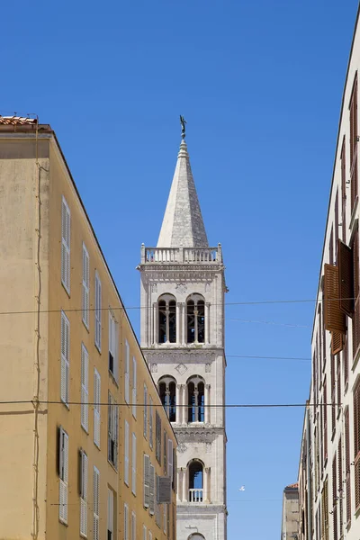 Вулиця Задньому Плані Дзвіниця Собору Святого Доната Задар Хорватія — стокове фото