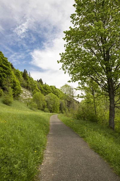 Krajina Hory Jura Kvetoucí Zelenou Loukou Švýcarsko — Stock fotografie