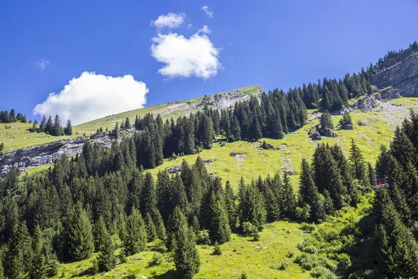 Paysage Alpin Verdoyant Bucolique Été Massif Alpin Suisse Canton Valais — Photo