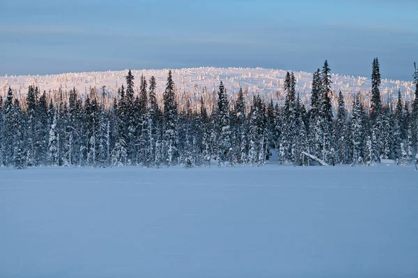 Winter Finnish Snowy Lanscape — Stock Photo, Image