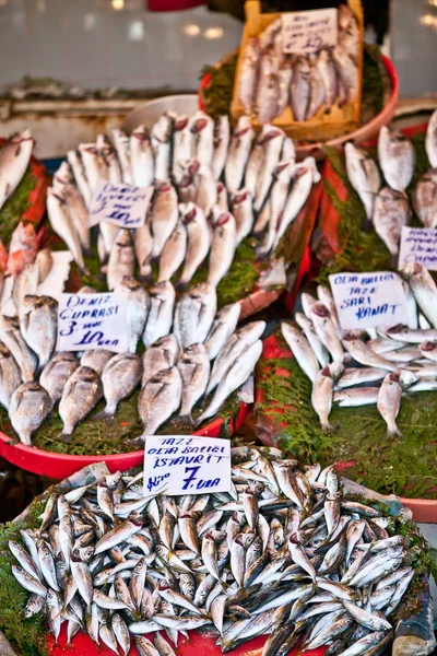 Mercadorias Loja Peixe Istambul — Fotografia de Stock