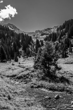 Bukolik yeşil yaz alp manzara, İsviçre Alpleri dağ masifi, kton du Valais, İsviçre