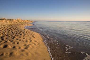 altın kum ile gün batımında bir plajda görünümü sessiz bir deniz