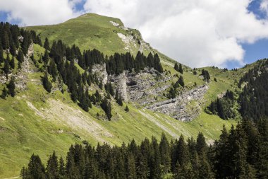 Bukolik yeşil yaz alp manzara, İsviçre Alpleri dağ masifi, kton du Valais, İsviçre