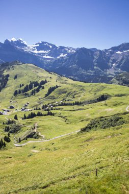 Bukolik yeşil yaz alp manzara, İsviçre Alpleri dağ masifi, kton du Valais, İsviçre