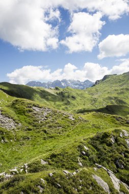 Bukolik yeşil yaz alp manzara, İsviçre Alpleri dağ masifi, kton du Valais, İsviçre