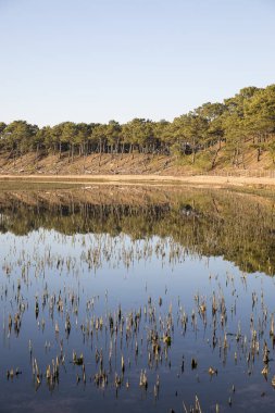 deniz şubat 2010'da fırtına Xynthia sonra dike üzerinden gitti sonra doğa rezerv Casse de la Belle Henriette de lagün alacakaranlık