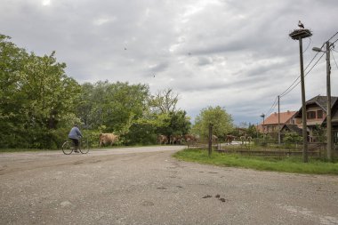 doğa rezerv Lonjsko Polje geleneksel evleri ile köy, bir çiftçi bisikletve yuvasında bir leylek, Hırvatistan onun geri alarak