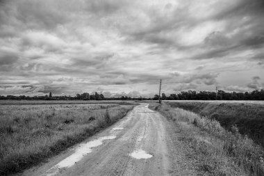 yeşil alanlar, Lonjsko Polje ile kurulu su birikintileri ile çamurlu ıslak yol; Hırvatistan