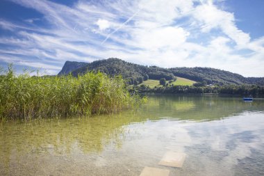 Le pont yakınlarındaki Brenet gölünün yaz manzarası, kton de Vaud, İsviçre