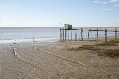 Geleneksel balıkçı kulübesi Fransa 'nın güneybatısında, Royan ve Meschers-sur-Gironde yakınlarında.