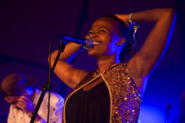 Traena, Norveç - 11 Temmuz 2014: Norveçli elektronik soul şarkıcısı Nosizwe'nin Traenafestival'deki konserinde, traena adasında düzenlenen müzik festivali