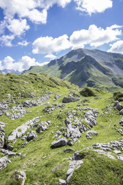 Bukolik yeşil yaz alp manzara, İsviçre Alpleri dağ masifi, kton du Valais, İsviçre