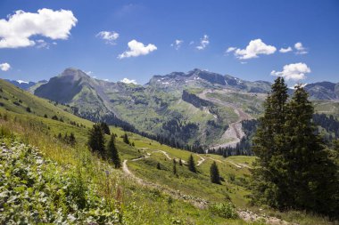 Bukolik yeşil yaz alp manzara, İsviçre Alpleri dağ masifi, kton du Valais, İsviçre