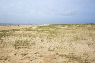 Fransa 'nın Vendee şehrinde L' aiguillon sur Mer sahilinde kumullar