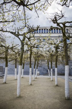 Mont des Arts bahçesindeki ağaçlar, Brüksel, Belçika