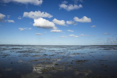 Deniz manzarası bulutların alçak gelgit sularındaki yansıması, Waddenzee, Friesland, Hollanda