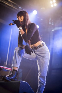 Traena, Norveç - 12 Temmuz 2014: Danimarkalı elektro-rap şarkıcısı Linkoban'ın Traenafestival'deki konseri sırasında, traena adasında müzik festivali gerçekleşiyor