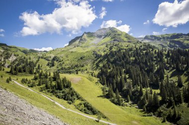 Bukolik yeşil yaz alp manzara, İsviçre Alpleri dağ masifi, kton du Valais, İsviçre