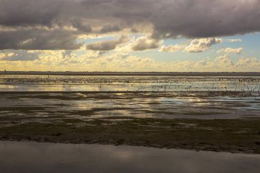 Ameland Adası 'nın kıyı şeridi, yağmurlu deniz manzaralı, bulutlar ve şafak vakti suya yansıyan turlu gökyüzü.