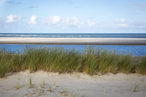 带草和海滩的沙丘 荷兰阿梅兰岛 — 图库照片