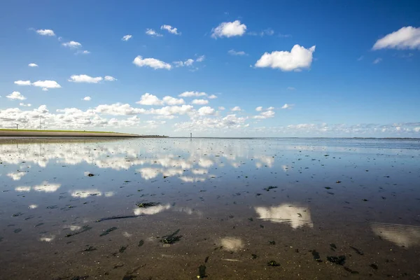Deniz manzarası bulutların alçak gelgit sularındaki yansıması, Waddenzee, Friesland, Hollanda