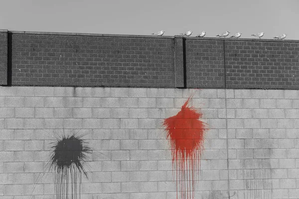 Чорно Біле Зображення Бетонної Цегляної Стіни Барвистими Червоними Плямами Фарби — стокове фото